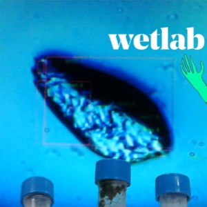 Wetlab_Hangar.org