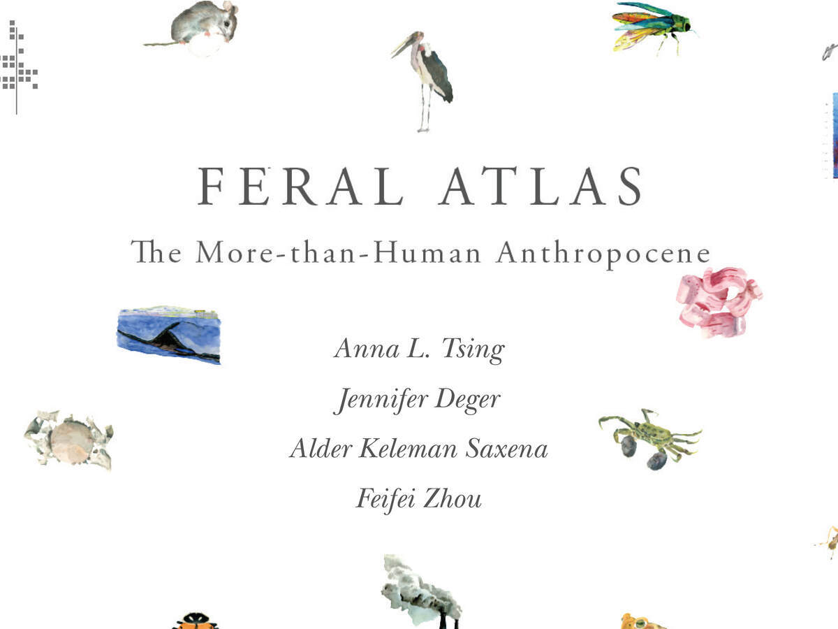 Feral Atlas: especies salvajes en el Antropoceno